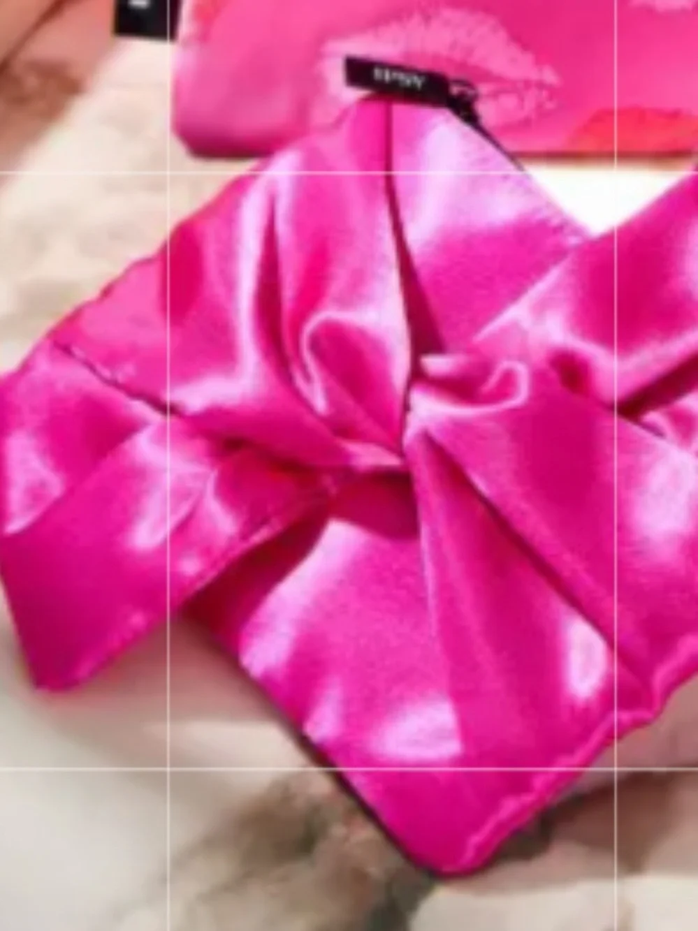 Ipsy Hot Pink Satin Cosmetic Glam Bag